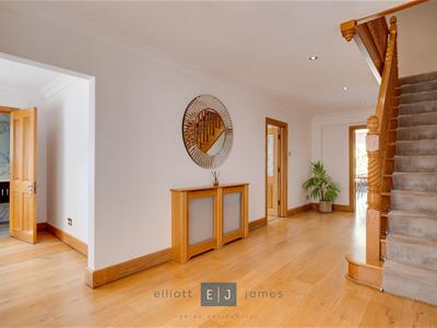 Picture 8